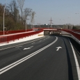 DN1