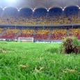 national arena