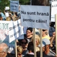 Protest caini maidanezi