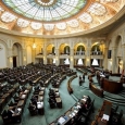 senat