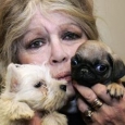 Bardot