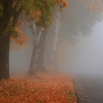 meteo