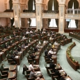 plen senat