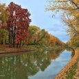 bega timisoara