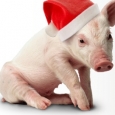 Porc