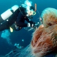 meduze