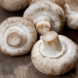 ciuperci