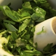 busuioc 