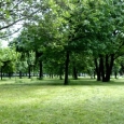 izvor