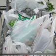 punga plastic