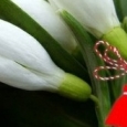 martisor