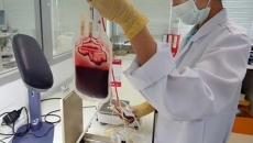 sange artificial