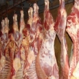 carne.miel.confiscată