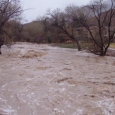 inundatie