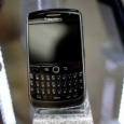 blackberry