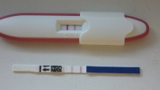 test.de.sarcină