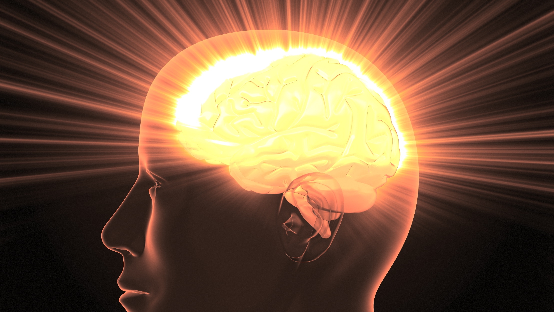 Повышение активности мозга. Золотой мозг. Золотые мозги. Мята повышает активность мозга. Бакора психоактивность.