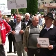 basescu huiduit