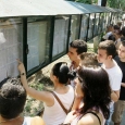 inscriere bac
