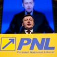 pnl