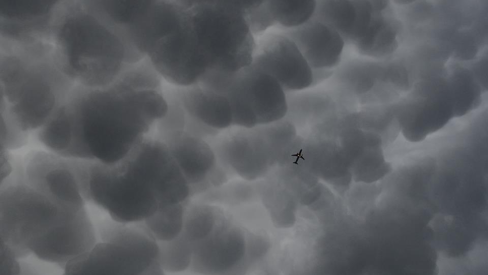 mammatus