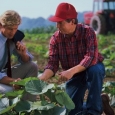 agricultura