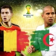 belgia-algeria