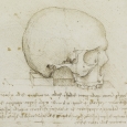 craniu.Da.Vinci