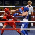 box feminin