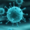 virus