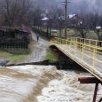 rauri