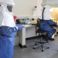 ebola
