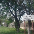 Nana
