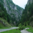 fvf