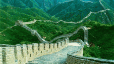 zid chinezesc