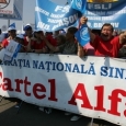 cartel alfa