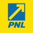 pnl