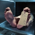 cadavru