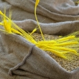 cereaşe bio