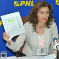 alina gorghiu