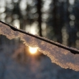 soare