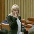 Elena Udrea Parlament