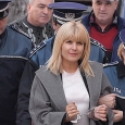 Elena Udrea, catuse