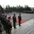 ziua nato