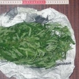 cannabis