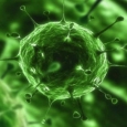 Virus