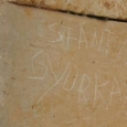 cetatea costesti