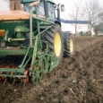 agricultura