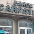 Carpatica