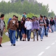 imigranti